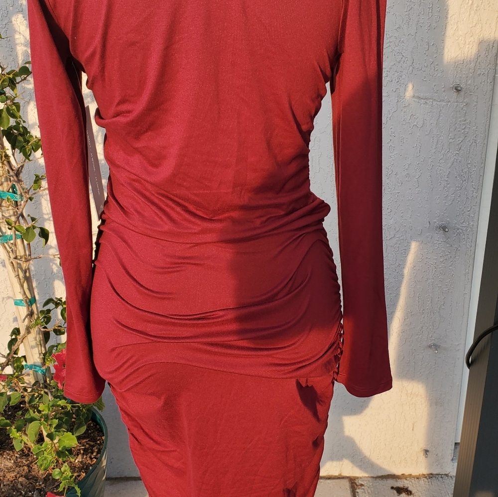Almost Famous Turtle Neck Rouched Dress - Picture 7 of 11